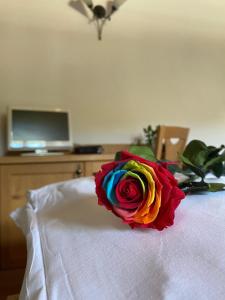 a colorful rose sitting on top of a bed at Hotel Aplis in Ovaro
