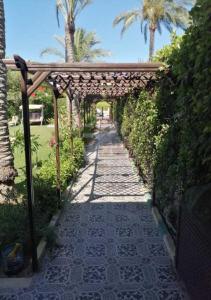 a walkway with a wooden pergola and palm trees at فيلا رائعه في الساحل الشمالي مارينا 6 اطلاله بحر in El Alamein