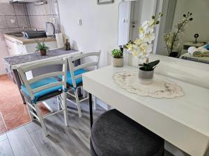 Kuchyň nebo kuchyňský kout v ubytování Guest House Antonia