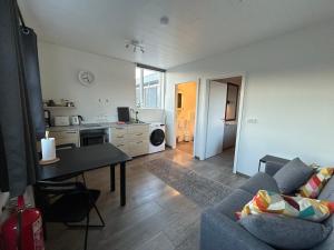 Kuchyň nebo kuchyňský kout v ubytování Apartment Skógafoss + 11 fotografií