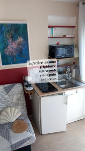 una pequeña cocina con fregadero y microondas en Charmant petit Studio en duplex, en Le Fenouiller