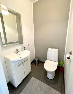 Ένα μπάνιο στο Apartment Isorannantie +3 φωτογραφίες