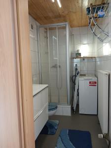 a bathroom with a shower and a sink and a toilet at Ferienwohnung Waldblick in Freudenstadt