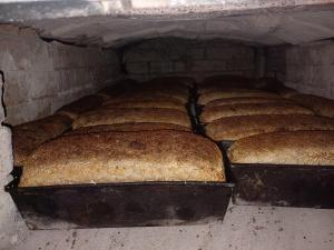 a row of breads in an oven at PRZYSTANEK nowEKOprzywno - Żółty Domek Pod Kasztanem in Barwice