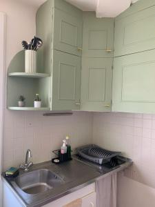 a kitchen with green cabinets and a sink at Studio cosy avec clim 33m2 in Aimargues