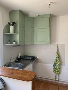 uma cozinha com armários verdes e um lavatório em Studio cosy avec clim 33m2 em Aimargues