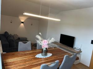 TV a/nebo společenská místnost v ubytování Apartment Julia