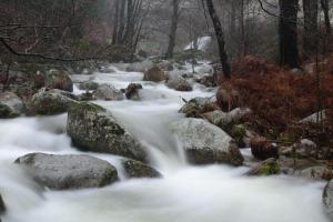 a stream of water with rocks in a forest at Edificio Reyes in La Adrada