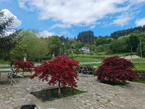 deux arbres à feuilles rouges dans un parc dans l'établissement POSADA LAS MOZAS DEL AGUA DE GABY Y TINO, à Ríocorvo