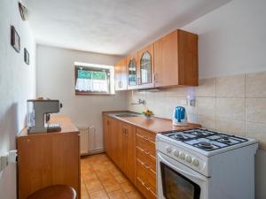 Kuchyň nebo kuchyňský kout v ubytování Holiday Home Horní Prysk by Interhome