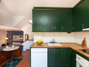 een keuken met groene kasten en een wastafel bij Holiday Home Vayreda by Interhome in Begur