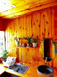 a kitchen with a sink and a wooden wall at Lam Vien Garden Villa - Homestay Da Lat in Da Lat