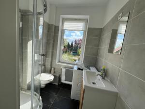 baño con lavabo y aseo y ventana en Modern apartments for employees and families in Altenburg, en Altemburgo