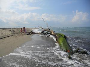 Paesaggio naturale nelle vicinanze dell'appartamento