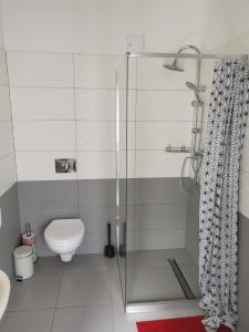 a bathroom with a shower and a toilet at Bemma Apart Hostel in Wrocław