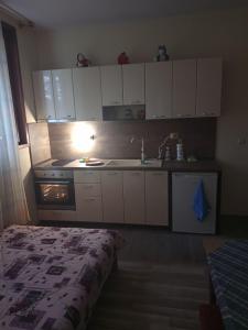 巴塔克的住宿－Family Hotel Shisharka，厨房配有白色橱柜、水槽和炉灶。