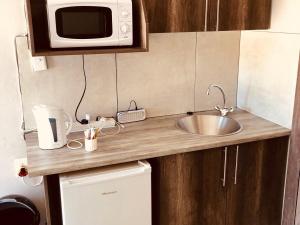 a kitchen counter with a sink and a microwave at Conti-INN Guesthouse in Queenstown