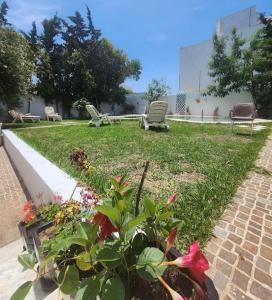 a garden with chairs and flowers in the grass at Villa à yasmine hammamet in Nabeul