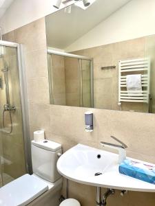 a bathroom with a sink and a toilet and a mirror at Dangė Hotel in Klaipėda