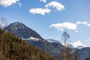 een uitzicht op een berg met besneeuwde bergen bij Haus Ferienglück in Schönau am Königssee +10 foto's