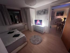 TV a/nebo společenská místnost v ubytování Der Erberbauer