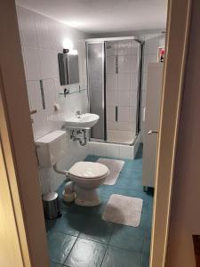 a bathroom with a toilet and a sink and a shower at Der Erberbauer in Piding