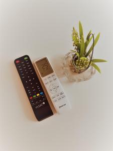 a remote control next to a vase with a plant at Apartman Maric in Drvar