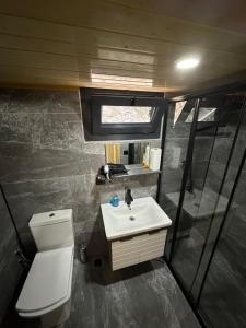 a small bathroom with a toilet and a sink at Nayon Tiny House in Rize
