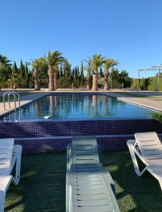 耶克拉的住宿－VILLA CAMPO PREMIUM，一个带2把躺椅的游泳池,棕榈树