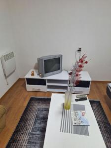 - un salon avec une télévision et une table basse dans l'établissement Apartman Vuković, à Foča