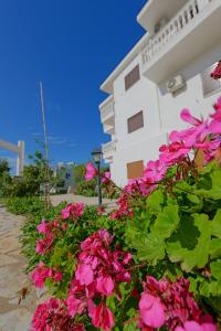 a bunch of pink flowers in front of a building at Koloseo Rezidence Sarande in Sarandë