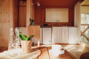 Glamping Mazury - Przystań Jeziorany的厨房或小厨房