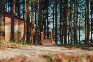 a wooden staircase leading to a cabin in a forest at Glamping Mazury - Przystań Jeziorany in Jeziorany
