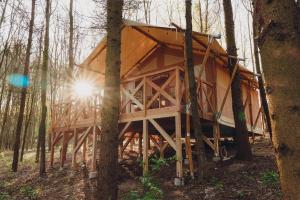 JezioranyGlamping Mazury - Przystań Jeziorany的树林中间的树屋