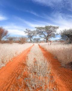 un camino de tierra rojo en medio de un campo en Big Cats Namibia Self Catering Farm Guesthouse, en Outjo