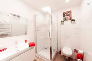 a white bathroom with a shower and a toilet at The studio at Saint-Jean cathedral, old town AIL in Lyon