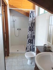 a bathroom with a shower and a toilet and a sink at La Terrazza del Barbaresco in Neviglie