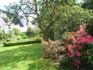 a garden with pink flowers and a tree at Welcome Home + Terrasse in Winterberg