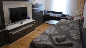 ein Wohnzimmer mit einem Flachbild-TV und einem Sofa in der Unterkunft Luxus Suite an der Frauenkirche in Dresden