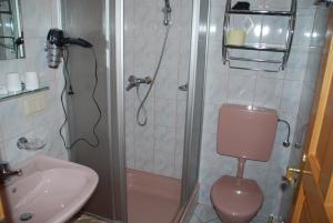 a bathroom with a shower and a toilet and a sink at Ferienwohnung Lahnerhof in Arriach