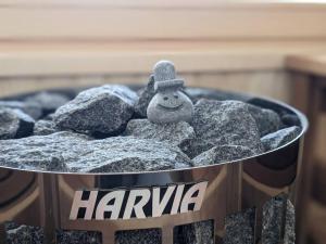 a bucket full of rocks with a toy in it at Log cabin renal & Finland sauna Step House in Yamanakako