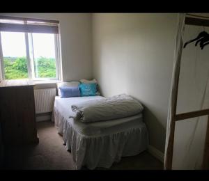 カーロウにあるHoliday house in quiet housing estate near Kilkennyの窓付きの部屋にベッド付きのベッドルーム1室があります。