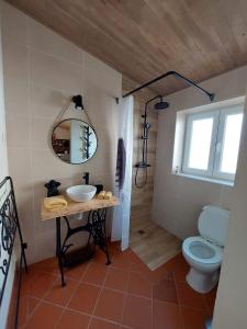 y baño con aseo, lavabo y espejo. en Casa Grés, en São Bartolomeu de Messines
