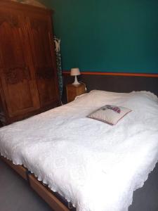 1 cama en un dormitorio con una pared verde en MAISON INDIVIDUELLE 110 M2-3 CHAMBRES-JARDIN 1000 M2, en Bois-Guillaume