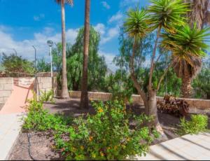 einen Park mit Palmen und Blumen auf einem Gehweg in der Unterkunft Flat in Chayofa in Chayofa