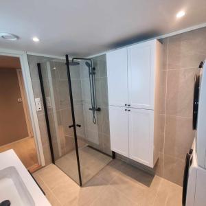 baño con ducha y puerta de cristal en Apartment in the city, en Porsgrunn