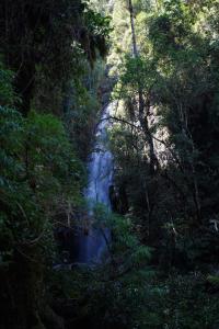 een waterval midden in een bos met bomen bij Vila do Mago in Itamonte