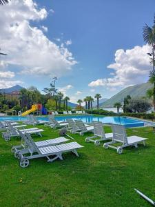 una fila de tumbonas frente a una piscina en Palm Beach apartment Bissone, en Bissone