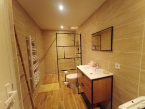 a bathroom with a sink and a toilet in it at Maison a la Laiterie in La Gaubretière