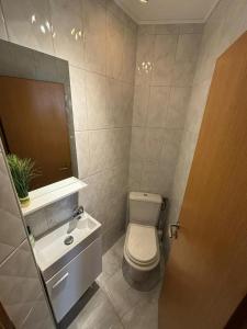 a bathroom with a toilet and a sink and a mirror at Penthouse Villa Spomenka top floor apartment on central beach in Podgora +29 photos